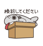 ランラン猫のいつもの魚 2 (日本語)（個別スタンプ：30）