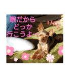 miro.fam（個別スタンプ：5）
