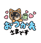 ブラックタンチワワ  とのの日常スタンプ1（個別スタンプ：8）