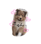 こはる ぱんな（個別スタンプ：19）