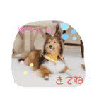 こはる ぱんな（個別スタンプ：21）