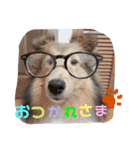 こはる ぱんな（個別スタンプ：23）