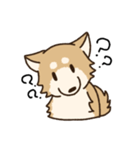 しばいぬひなた（個別スタンプ：3）