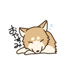 しばいぬひなた（個別スタンプ：5）