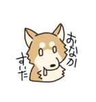 しばいぬひなた（個別スタンプ：8）