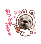 月と太陽のブルドッグ姉妹（個別スタンプ：3）