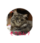 茨木のねこ（個別スタンプ：6）