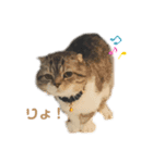 あんずのごあいさつスタンプ（個別スタンプ：7）