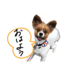もぐち日常（個別スタンプ：1）