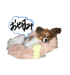 もぐち日常（個別スタンプ：2）