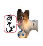 もぐち日常（個別スタンプ：3）