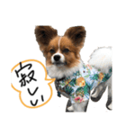 もぐち日常（個別スタンプ：5）
