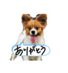 もぐち日常（個別スタンプ：7）