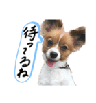 もぐち日常（個別スタンプ：8）