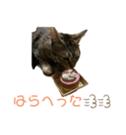 ふぅ＆らぃ（個別スタンプ：4）