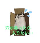 ふぅ＆らぃ（個別スタンプ：8）