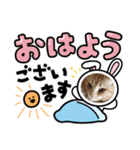 アメリカンカールのれおたんスタンプ（個別スタンプ：5）
