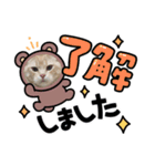 アメリカンカールのれおたんスタンプ（個別スタンプ：8）