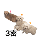 水口家の犬ども（個別スタンプ：8）