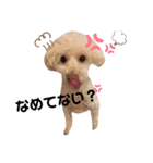 水口家の犬ども（個別スタンプ：14）