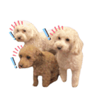 水口家の犬ども（個別スタンプ：17）