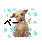 水口家の犬ども（個別スタンプ：22）