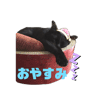 おここスタンプ（個別スタンプ：16）