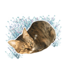 ミルク カギシッポの猫 2（個別スタンプ：6）