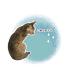 ミルク カギシッポの猫 2（個別スタンプ：14）