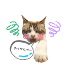 ウチのボアちゃん（個別スタンプ：2）