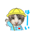 ウチのボアちゃん（個別スタンプ：13）