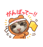 ウチのボアちゃん（個別スタンプ：16）