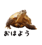 デイリーホルス（個別スタンプ：1）