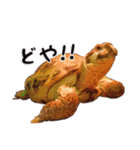 デイリーホルス（個別スタンプ：11）