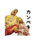 デイリーホルス（個別スタンプ：24）