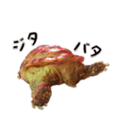 デイリーホルス（個別スタンプ：26）