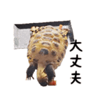 デイリーホルス（個別スタンプ：29）