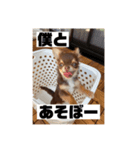 トッティのスタンプ（個別スタンプ：3）