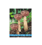 wgwgwgwgwgwgwgwgg（個別スタンプ：16）
