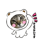 敬語ねこねこ（個別スタンプ：1）