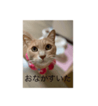 むぎさんといっしょ！（個別スタンプ：2）