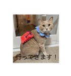 むぎさんといっしょ！（個別スタンプ：3）