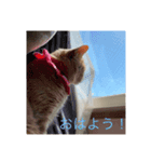 むぎさんといっしょ！（個別スタンプ：7）