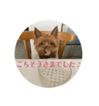 しょこらPart①（個別スタンプ：24）