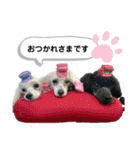 Lunaちゃんの日常（個別スタンプ：2）