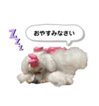 Lunaちゃんの日常（個別スタンプ：4）