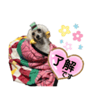 Lunaちゃんの日常（個別スタンプ：7）