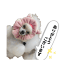 Lunaちゃんの日常（個別スタンプ：8）
