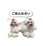 Lunaちゃんの日常（個別スタンプ：11）