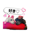 Lunaちゃんの日常（個別スタンプ：14）